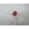 Eaton Contact Blocks and Other Accessories Plastic Lens Red EA NEMA 3/3R/4/4X/12/13 E34V2 - alternate 2